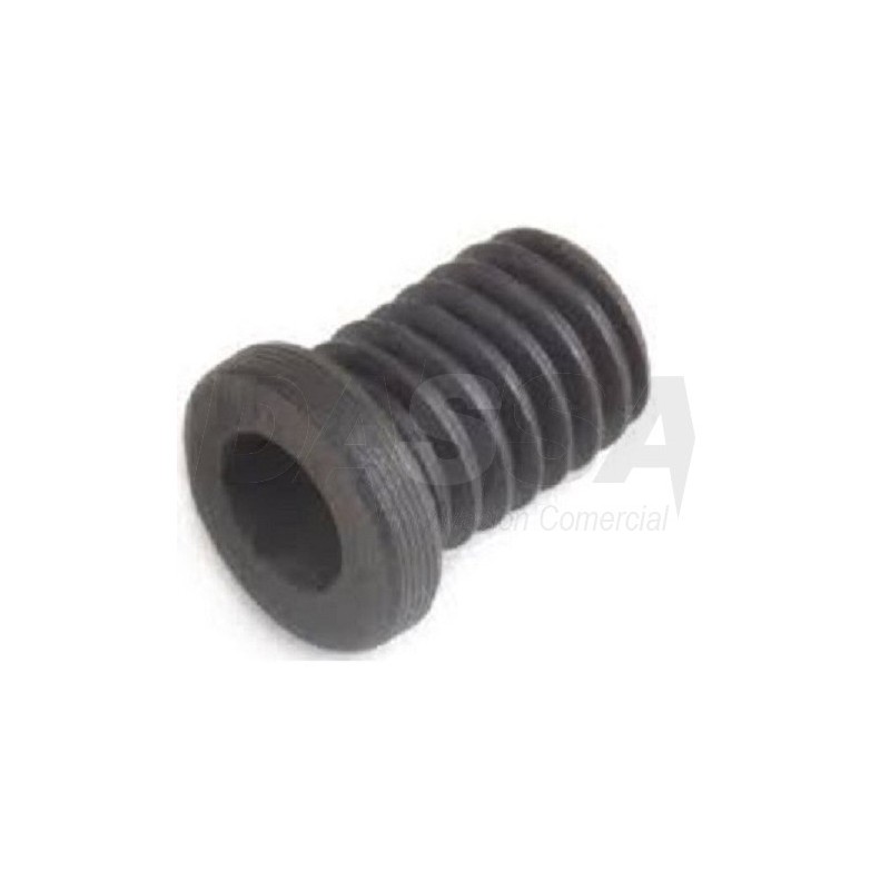 Tornillo Hueco para asientos TH0608